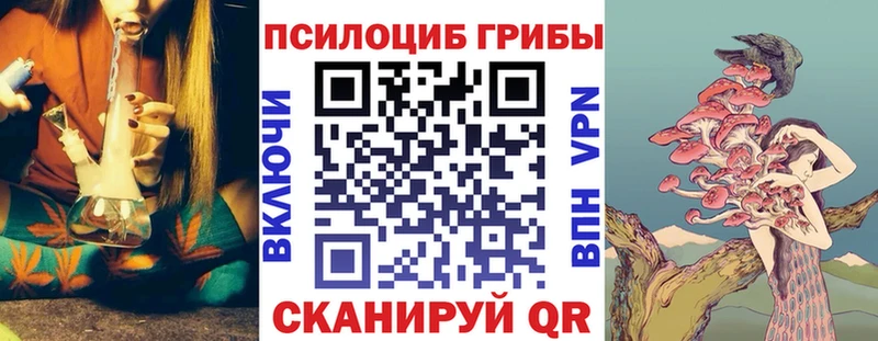 Псилоцибиновые грибы ЛСД  Катав-Ивановск 