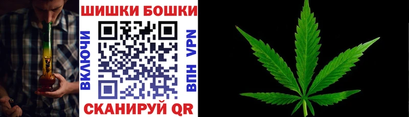 Бошки Шишки семена Катав-Ивановск